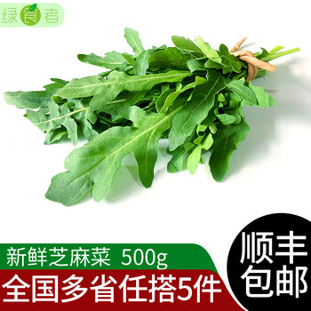 æ–°é²œèŠéº»èœ250g å¾·å›½èŠ¥èœç«ç®­èœæ–°é²œè