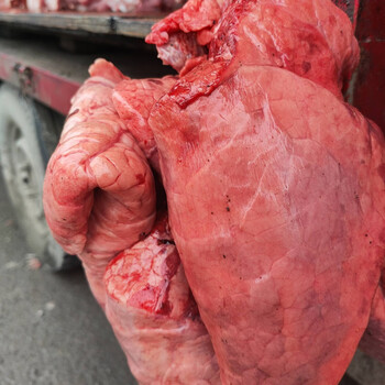 猪心肺新鲜贵州现杀现发农家土猪内脏生鲜 华奥薇斯