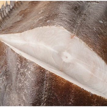 整条大鲽鱼1100g1000g格陵兰比目鱼碟鱼头鲽鱼身深海鱼新鲜