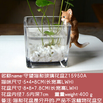 真自在创意禅意小和尚花盆猫咪摆件组合盆栽可爱装饰礼物办公室桌面客厅守望猫和玻璃花盆 图片价格品牌报价 京东 真自在创意禅意小和尚花盆猫咪摆件组合盆栽可爱装饰礼物办公室桌面客厅守望猫和玻璃花盆 图片价格品牌报价 京东