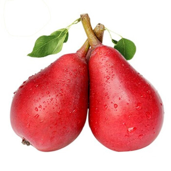 果王佳园新西兰红啤梨9粒装 单果重190g  1号会员店