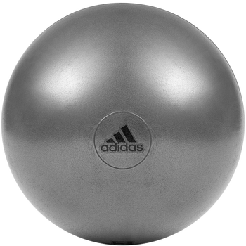 瑜伽球哪个品牌好（瑜伽球什么品牌质量最好）