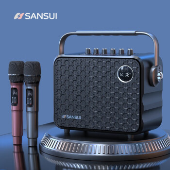 山水（SANSUI）大功率无线蓝牙音箱重低音炮手提便携式广场舞音响户外大音量k歌麦克风音响一体自带声卡扩音器 U12黑色