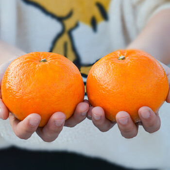广西武鸣香妃柑贵妃柑沃柑橘子新鲜桔子水果当季新鲜特级大果纯甜佳节