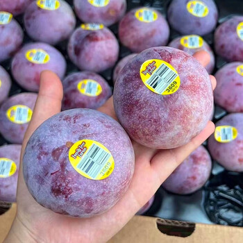 新鲜水果绿宝石黄肉布林高端李子水果 精选8斤大果鸵鸟蛋情人李子