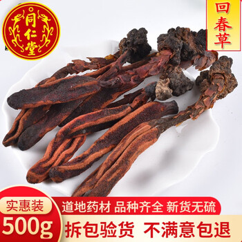 北京中药材回春草 草从蓉 顶天柱一斤500克