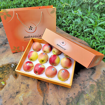 净樱智利新西兰神仙果苹果新鲜4斤礼盒装水果顺丰 12颗 70mm(含)-75mm