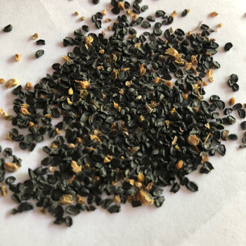 沙葱种植沙葱种子籽甘肃民勤沙葱子保真野葱籽四季可种内蒙沙葱籽100