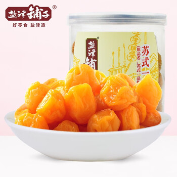 盐津铺子 苏式话李100g 零食小吃蜜饯果干果脯办公室零食李子干