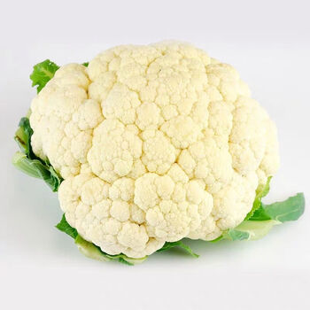 现采新鲜花菜3斤5斤有机菜花白菜花花椰菜青梗花当季农家自种十斤装 图片价格品牌报价 京东 现采新鲜花菜3斤5斤有机菜花白菜花花椰菜青梗花当季农家自种十斤装 图片价格品牌报价 京东