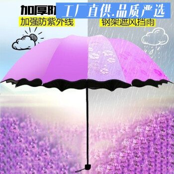 2023年2月14日更新【万能白菜价】的图片 第14张