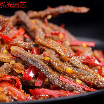 招牌冷吃牛肉麻辣四川特产辣味零食小吃卤味熟食 辰颐物语冷吃牛肉2袋