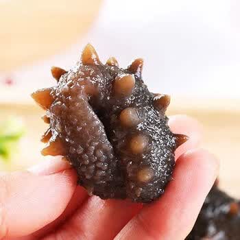 高品质淡干海参速发小海参干货礼盒装 5只装礼盒款 淡干刺参【2-2.