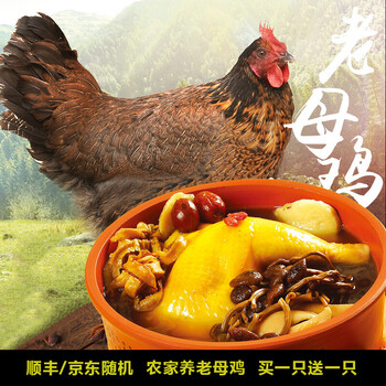口感鲜美，历史价格便宜，小憨货鸡肉值得信赖！|在京东怎么查鸡肉历史价格