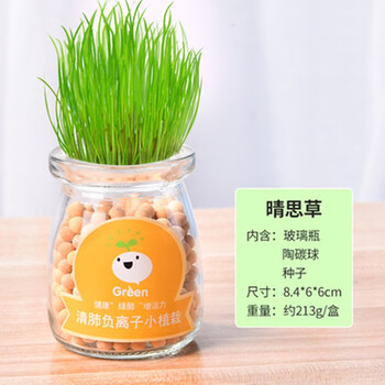 负离子盆栽创意迷你植物diy水培布丁瓶陶碳球学生礼品新款情思草 珍爱 图片价格品牌报价 京东