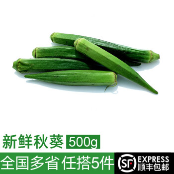 绿食者 新鲜秋葵500g 水果秋葵 六角羊角豆 新鲜当季农家蔬菜