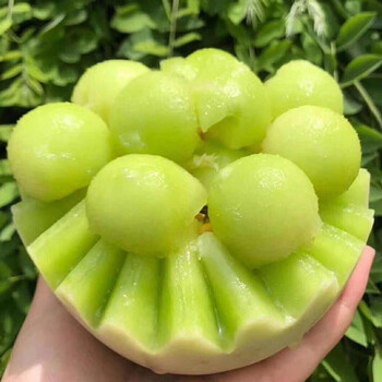玉菇甜瓜冰淇淋香瓜甜蜜瓜当季新鲜水果现摘现发青皮绿肉瓜玉菇甜瓜5