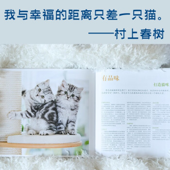 猫猫的幸福生活