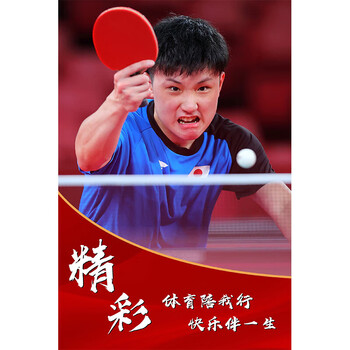 运动员球室海报体育马龙许昕陈梦孙颖莎墙贴纸装饰挂 桔色 21张本智和