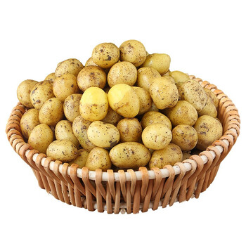 半亩庄园 新鲜土豆农家自种5斤 新鲜迷你小土豆新鲜蔬菜马铃薯