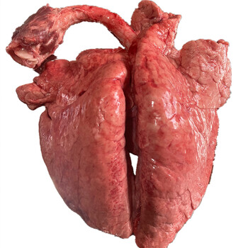 果亦橙猪肺农新鲜冷冻家散养土猪猪肺猪下水猪杂猪肺子整副 3斤