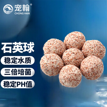 宠翰鱼缸过滤中空培球硝化细屋陶瓷环石英球滤材养鱼用品 中空球500g