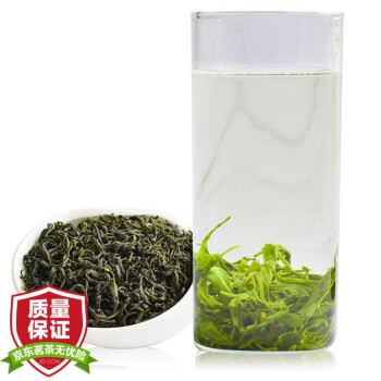 【限时特惠】绿乡茗2023年新茶四川雅安高山云雾绿茶价格走势及口感评测