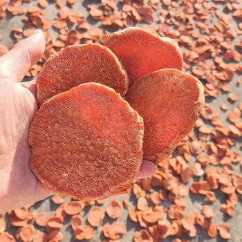 恒愎福清农家番薯片新地瓜片红薯干红心番薯干500克福建特产煮粥稀饭5