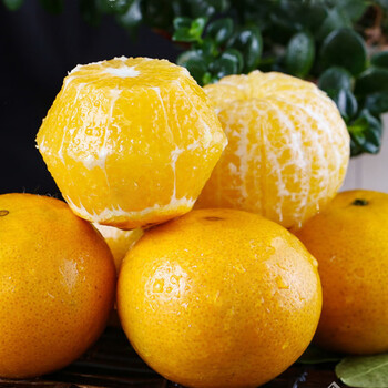 豫权正宗广东德庆皇帝贡柑桔子皮薄爆汁纯甜10斤礼盒当季特级果皇帝柑