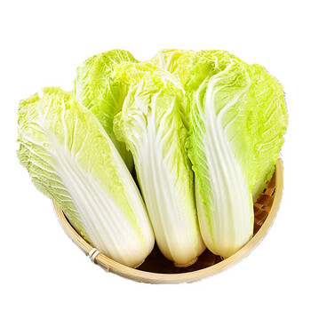 轻恋新鲜娃娃菜高山娃娃菜3斤小白菜火锅凉拌食材新鲜蔬菜xl