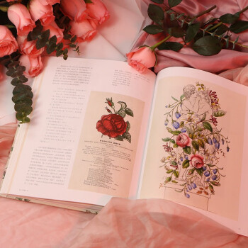 玫瑰之书 The Rose