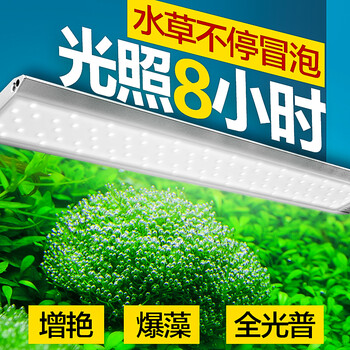 疯狂石头鱼缸led灯防水全光谱三基色增艳水草灯照明灯堪比尼特利水草灯全光谱led水草灯v10 带无极调光 定时功能 图片价格品牌报价 京东
