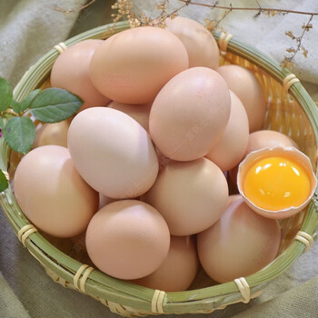 富铭士林下散养土鸡蛋40枚新鲜农家自养笨鸡蛋食用柴鸡蛋20枚