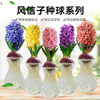 2023年3月2日更新【万能白菜价】的图片 第86张
