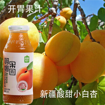 芬氏新疆阿娜果园石榴汁小白杏汁黑加仑汁桃汁胡萝卜汁20瓶果蔬果汁
