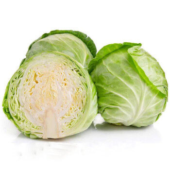 包菜 卷心菜 绿甘蓝 新鲜蔬菜 5斤装