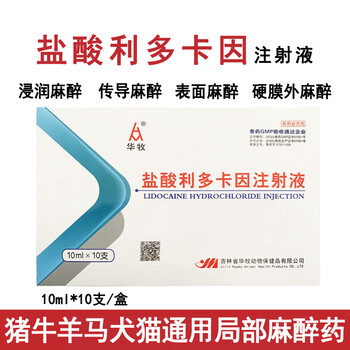 兽用药局部麻醉药盐酸利多卡因注射液表面麻醉传导麻醉浸润麻醉硬膜外