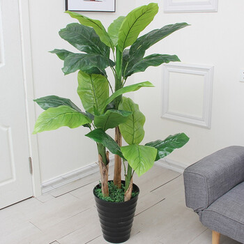 绿秀假树仿真植物芭蕉树绿植盆栽假花室内客厅阳台装饰花芭蕉叶香蕉树1 5米三杆香蕉树含盆含小草 图片价格品牌报价 京东 绿秀假树仿真植物芭蕉树绿植盆栽假花室内客厅阳台装饰花芭蕉叶香蕉树1 5米三杆香蕉树含盆含小草 图片价格品牌报价 京东