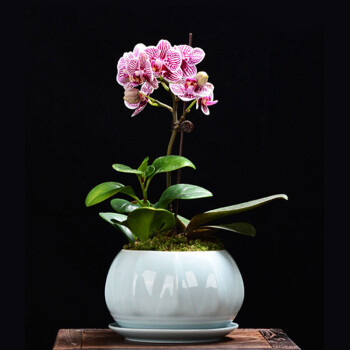 奥美优多款花盆花器，质感与设计兼具