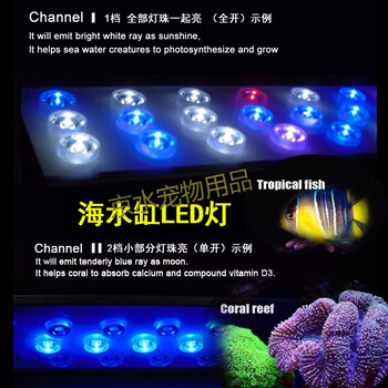 海缸灯珊瑚鱼缸led照明灯大功率海水爆藻灯软体lps For补光jf Cd90 珊瑚专配 图片价格品牌报价 京东