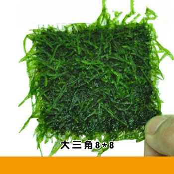 莫斯水草超白鱼缸体造景套餐水草懒人沉木装饰植莫丝胶大三角大三角莫斯8 8 图片价格品牌报价 京东 莫斯水草超白鱼缸体造景套餐水草懒人沉木装饰植莫丝胶大三角大三角莫斯8 8 图片价格品牌报价 京东