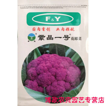 紫色花菜种子特色紫色菜花种籽花椰菜种籽稀有蔬菜品种紫晶1号粒分装 图片价格品牌报价 京东