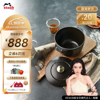 staub 珐宝多功能珐琅锅铸铁锅家用火锅煲汤焖烧炖锅煲烹饪锅具电磁炉 饭釜锅黑色【金色盖镝】16cm