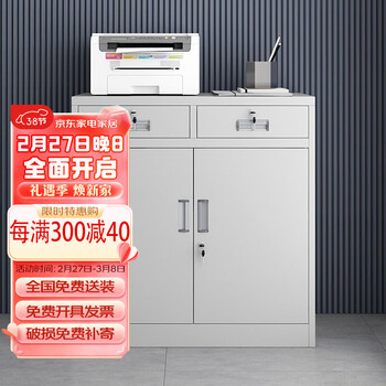 常晟（CHANGSHENG）办公文件档案柜钢制铁皮柜资料柜财务凭证柜带锁矮柜储物柜加厚 二斗下节 豪华款