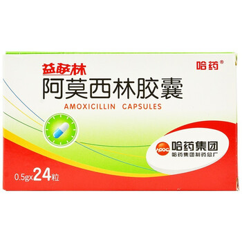 哈药 阿莫西林胶囊 24粒 1盒