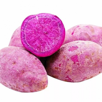 珍珠小紫薯沙地现挖红紫皮番薯地瓜 5斤 大果餐饮