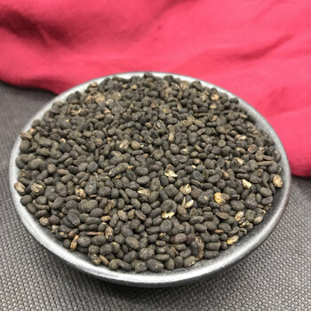 伟博 补骨脂500g克 中药材野生补骨脂 破故纸粉盐炒补骨脂