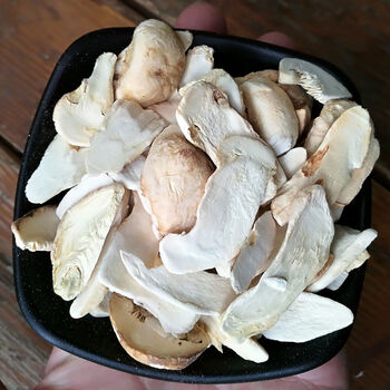 阿尔巴白松露香格里拉松茸干片云南特产菌菇干货纯冻干松茸 【冻干】