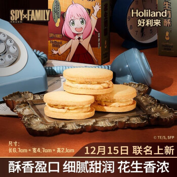 【好利来】糕点/点心:赢得味蕾的奇妙之旅!