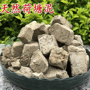 塘泥干荷塘泥土荷花盆栽养花种菜基质碗莲睡莲种营养土塘泥5斤4包共20